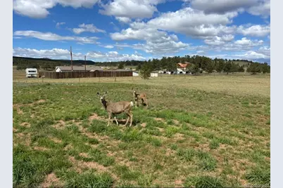 489 Duesouth Road, Florissant, CO 80816 - Photo 42