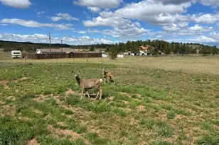 489 Duesouth Rd, Florissant, CO 80816 - Photo 42