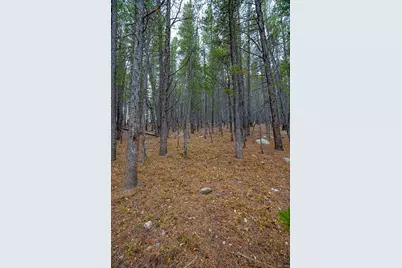 Lot 935 Silver Creek Road, Idaho Springs, CO 80452 - Photo 4