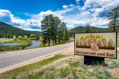 16940 County Road 126, Pine, CO 80470 - Photo 22