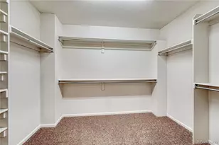 3359 Starry Night Loop, Castle Rock, CO 80109 - Photo 26