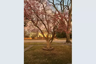 1439 S University Boulevard, Denver, CO 80210 - Photo 2