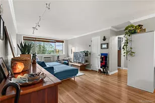 10 N Ogden St, Denver, CO 80218 - Photo 4