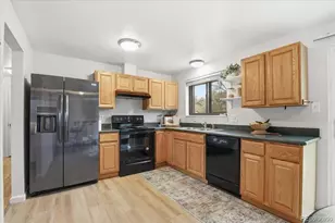 13255 Saturn Dr, Lone Tree, CO 80124 - Photo 4