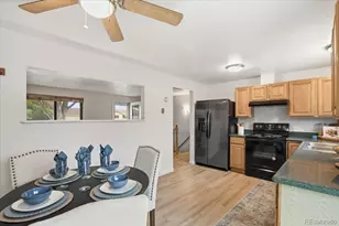 13255 Saturn Dr, Lone Tree, CO 80124 - Photo 10