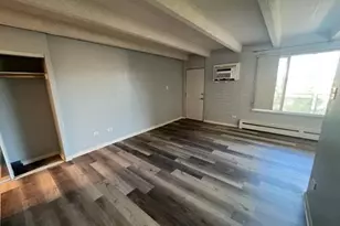 250 N Pearl St, Denver, CO 80203 - Photo 10