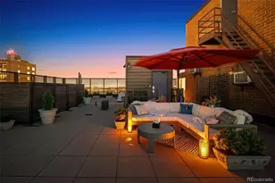 1133 Race St, Denver, CO 80206 - Photo 14