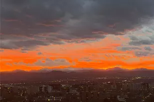 1133 Race St, Denver, CO 80206 - Photo 50