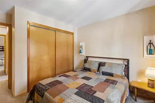 509 N Center St, Woodland Park, CO 80863 - Photo 36