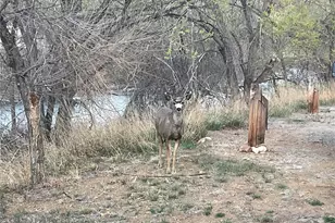 20163 US Hwy 50, Cotopaxi, CO 81223 - Photo 44