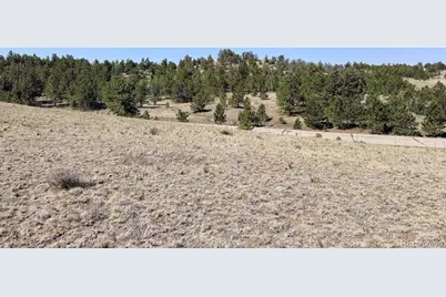0000 Falcon Road, Hartsel, CO 80449 - Photo 16