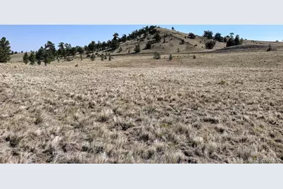 0000 Falcon Road, Hartsel, CO 80449 - Photo 1