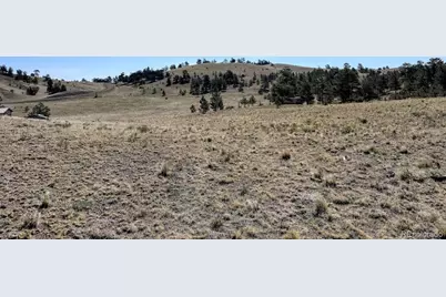 0000 Falcon Road, Hartsel, CO 80449 - Photo 18
