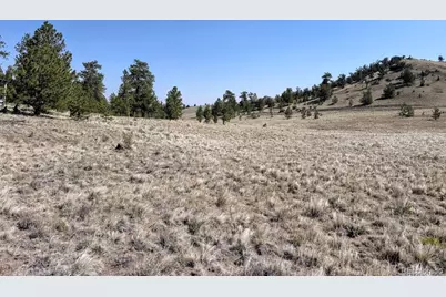0000 Falcon Road, Hartsel, CO 80449 - Photo 2