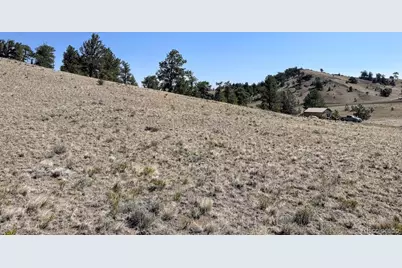 0000 Falcon Road, Hartsel, CO 80449 - Photo 20