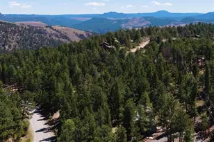 20 Long Ridge Dr, Bailey, CO 80421 - Photo 44