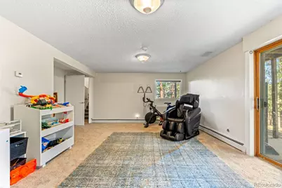 20 Long Ridge Drive, Bailey, CO 80421 - Photo 34