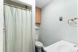 20 Long Ridge Dr, Bailey, CO 80421 - Photo 24