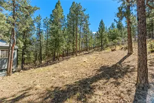 20 Long Ridge Dr, Bailey, CO 80421 - Photo 42