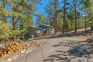 20 Long Ridge Dr, Bailey, CO 80421 - Photo 8