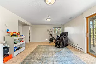 20 Long Ridge Dr, Bailey, CO 80421 - Photo 30