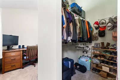 20 Long Ridge Drive, Bailey, CO 80421 - Photo 32