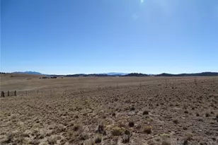 278 Cherokee Trail, Hartsel, CO 80449 - Photo 12