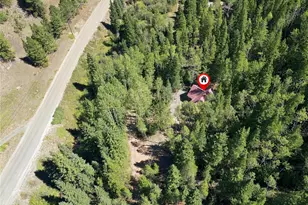 103 Forest Haven Lane, Idaho Springs, CO 80452 - Photo 32