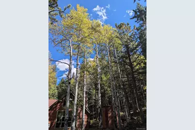 103 Forest Haven Lane, Idaho Springs, CO 80452 - Photo 42