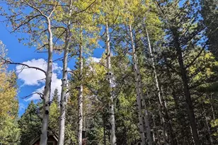 103 Forest Haven Lane, Idaho Springs, CO 80452 - Photo 42
