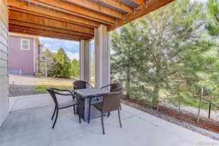 1205 Bonnyton Pl, Castle Rock, CO 80104 - Photo 38