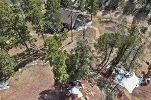 396 Mohawk Heights, Florissant, CO 80816 - Photo 36