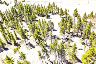 93 Placer Dr, Alma, CO 80420 - Photo 8