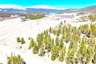 93 Placer Dr, Alma, CO 80420 - Photo 14