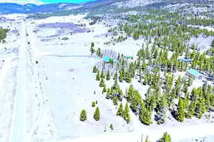 93 Placer Dr, Alma, CO 80420 - Photo 2
