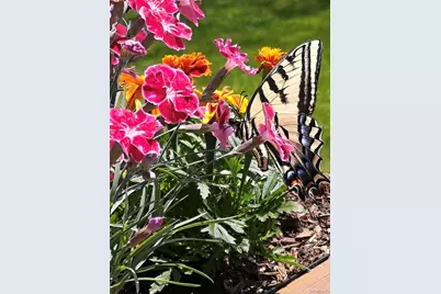 6122 W 113th Avenue, Westminster, CO 80020 - Photo 36