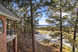 120 Silver Leaf Way, Castle Rock, CO 80108 - Photo 44