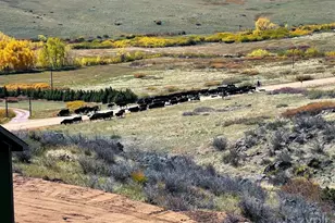 3050 W County Rd 82E, Livermore, CO 80536 - Photo 36