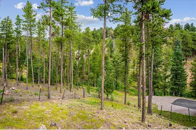 34155 Grouse Lane, Evergreen, CO 80439 - Photo 14