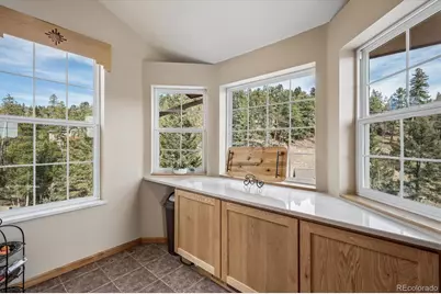 34155 Grouse Lane, Evergreen, CO 80439 - Photo 30