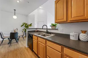 10805 Twenty Mile Road, Parker, CO 80134 - Photo 12