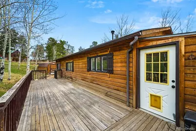 312 S Pine Drive, Bailey, CO 80421 - Photo 24