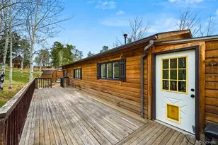 312 S Pine Dr, Bailey, CO 80421 - Photo 24