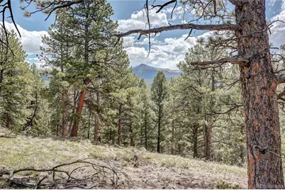 59 Robin Point, Divide, CO 80814 - Photo 30