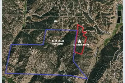 59 Robin Point, Divide, CO 80814 - Photo 4