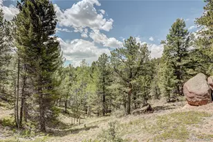 59 Robin Point, Divide, CO 80814 - Photo 1