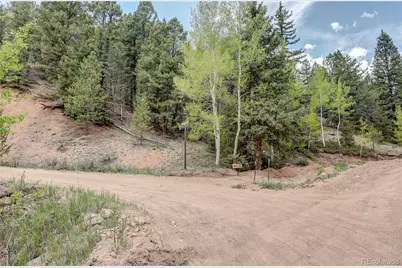 59 Robin Point, Divide, CO 80814 - Photo 12