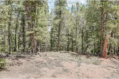 59 Robin Point, Divide, CO 80814 - Photo 8