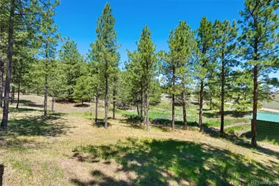 5463 High Park Road, Florissant, CO 80816 - Photo 36