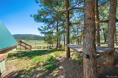 5463 High Park Road, Florissant, CO 80816 - Photo 34